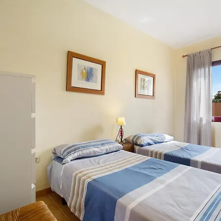 La Palmera De * La Oliva