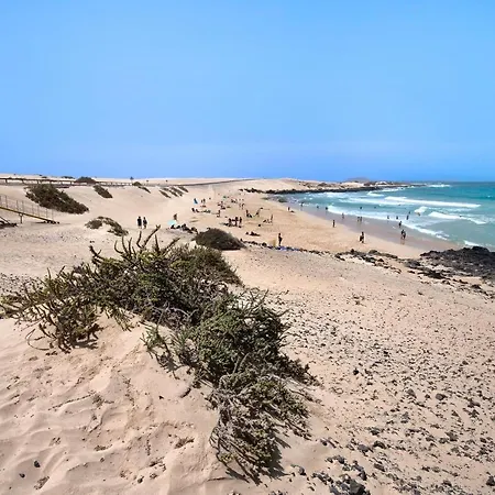 Hébergement de vacances La Palmera De