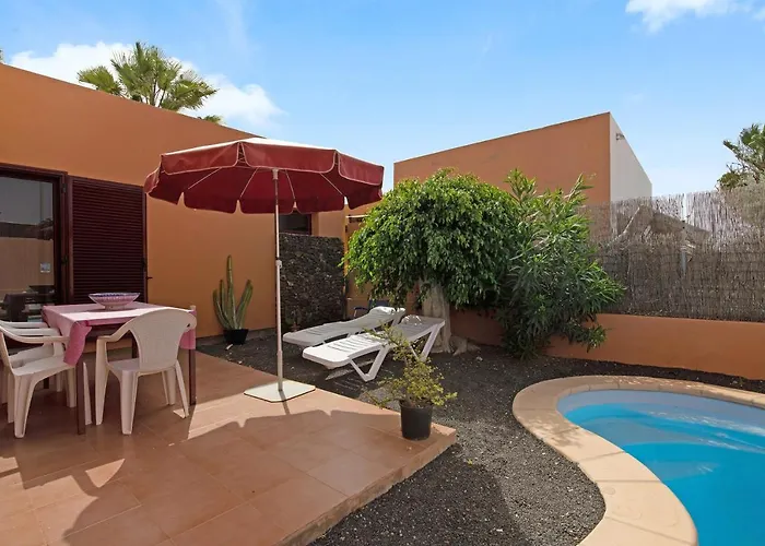 La Palmera De * La Oliva