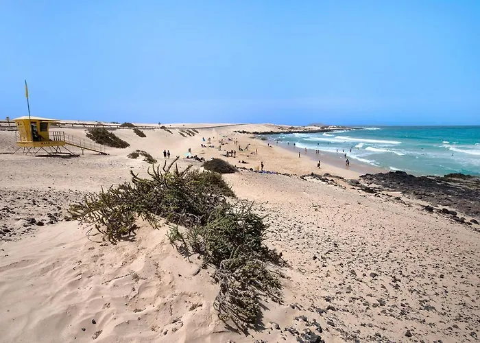 Hébergement de vacances La Palmera De